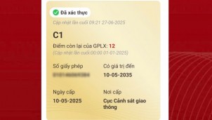 Cách hiển thị bằng lái xe mới trên VNeID sau khi hoàn thành thủ tục online