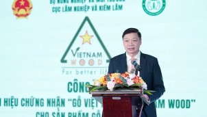 Công bố nhãn hiệu chứng nhận 'Gỗ Việt Nam/Vietnam wood'