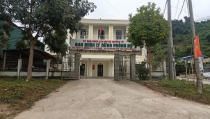 Mường Tè (Lai Châu): Hiệu quả từ chính sách chi trả dịch vụ môi trường rừng Mường Tè (Lai Châu): Hiệu quả từ chính sách chi trả dịch vụ môi trường rừng