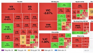 Nhận định chứng khoán tuần 17-21/8: VN-Index lùi về 1.729 điểm, vùng 1.700 điểm thành chốt chặn