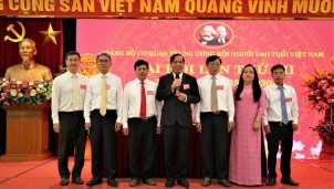 Ông Nguyễn Thanh Bình tiếp tục làm Bí thư Hội Người cao tuổi Việt Nam