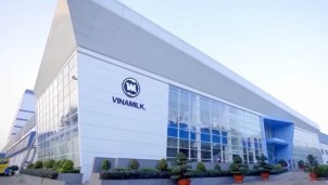 Vinamilk lãi hợp nhất quý II tăng gần 28%, công ty mẹ chỉ tăng 3,69%