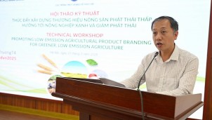 Xây dựng thương hiệu nông sản phát thải thấp: Động lực mới cho nông nghiệp Việt