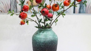 Cây lạ chơi Tết "rộn ràng" xuống phố Cây lạ chơi Tết "rộn ràng" xuống phố