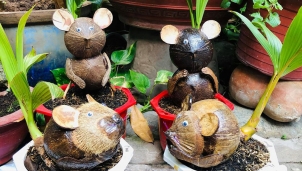 Giá tiền triệu, dừa bonsai hình chuột vẫn cháy hàng Tết Canh Tý Giá tiền triệu, dừa bonsai hình chuột vẫn cháy hàng Tết Canh Tý