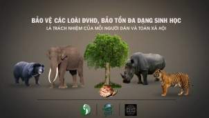WWF: Dừng sát hại động vật hoang dã để ngăn chặn sự lây lan COVID-19