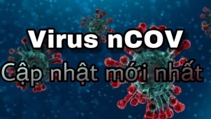 Cập nhật ngày 3/2: Việt Nam ghi nhận ca mắc nCOV thứ 8 Cập nhật ngày 3/2: Việt Nam ghi nhận ca mắc nCOV thứ 8