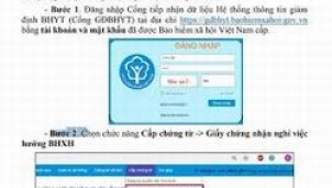 TPHCM: Cấp GCN nghỉ việc hưởng BHXH trên cổng thông tin điện tử TPHCM: Cấp GCN nghỉ việc hưởng BHXH trên cổng thông tin điện tử