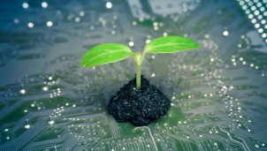 “Xanh hóa” thương mại điện tử “Xanh hóa” thương mại điện tử