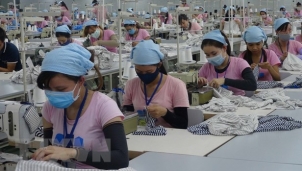 ILO: Đại dịch COVID-19 làm gia tăng bất bình giới ở Việt Nam