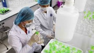 Sau dịch COVID-19 giá trị của 3 hãng dược hàng đầu sẽ ra sao? Sau dịch COVID-19 giá trị của 3 hãng dược hàng đầu sẽ ra sao?