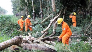 Bão CONSON gây ảnh hưởng đến sử dụng điện của hơn 400 nghìn khách hàng Bão CONSON gây ảnh hưởng đến sử dụng điện của hơn 400 nghìn khách hàng