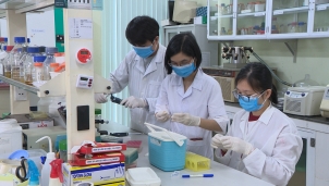 Bộ Y tế cấp số cho sinh phẩm xét nghiệm virus SARS-CoV-2 Bộ Y tế cấp số cho sinh phẩm xét nghiệm virus SARS-CoV-2