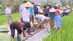 Sau 15 năm ứng dụng KHCN góp phần chuyển dịch cơ cấu sản xuất Sau 15 năm ứng dụng KHCN góp phần chuyển dịch cơ cấu sản xuất