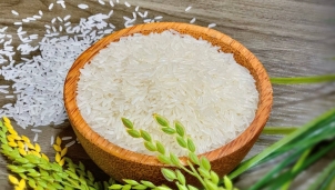 ST25 là giống lúa nên sẽ không được bảo hộ tại Mỹ ST25 là giống lúa nên sẽ không được bảo hộ tại Mỹ
