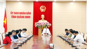 Techfest Vietnam 2019 tại Quảng Ninh là cơ hội quảng bá du lịch Techfest Vietnam 2019 tại Quảng Ninh là cơ hội quảng bá du lịch