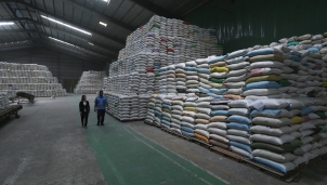 Việt Nam tạm dừng xuất khẩu gạo từ 24/3