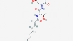 Phát hiện chất Cepafungin I mới làm "nổ tung" tế bào ung thư