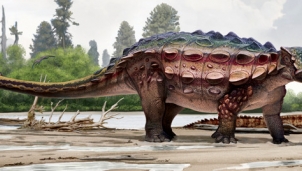 Giáp long đuôi chùy - Ankylosaurid có thể là một loài ưa thích đào bới Giáp long đuôi chùy - Ankylosaurid có thể là một loài ưa thích đào bới