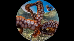 Chiêm ngưỡng những bức ảnh xuất sắc nhất tại Cuộc thi ảnh quốc tế Chiêm ngưỡng những bức ảnh xuất sắc nhất tại Cuộc thi ảnh quốc tế