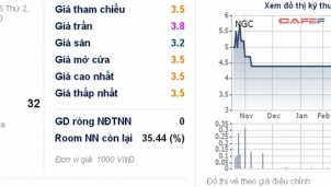 Cổ phiếu NGC vào diện cảnh báo do kinh doanh thua lỗ Cổ phiếu NGC vào diện cảnh báo do kinh doanh thua lỗ