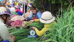 Độc đáo phiên chợ tỏi cuối năm ở Lý Sơn Độc đáo phiên chợ tỏi cuối năm ở Lý Sơn