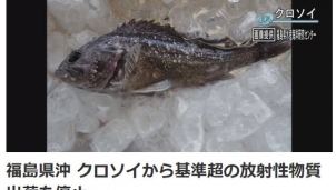 Fukushima nâng mức cảnh báo khi bắt được cá nhiễm phóng xạ  Fukushima nâng mức cảnh báo khi bắt được cá nhiễm phóng xạ