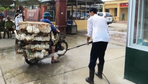 Hà Vỹ: Sức nóng của chợ gia cầm lớn nhất miền Bắc những ngày giáp tết 