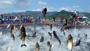 Năm 2019, Navico báo lãi sau thuế hơn 700 tỷ đồng Năm 2019, Navico báo lãi sau thuế hơn 700 tỷ đồng