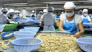 Năm ngân hàng có nguy cơ mất trắng 1000 tỉ đồng thông qua "KIM HẠNH VIỆT" Năm ngân hàng có nguy cơ mất trắng 1000 tỉ đồng thông qua "KIM HẠNH VIỆT"