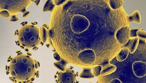 Nghiên cứu mới: Virus corona đã gây đại dịch từ cách đây 20.000 năm Nghiên cứu mới: Virus corona đã gây đại dịch từ cách đây 20.000 năm