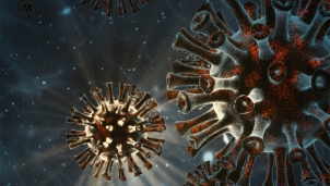 Sóng siêu âm có thể tiêu diệt virus SARS-CoV-2