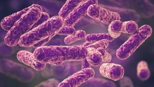 Tái cấu trúc vi khuẩn tiêu diệt mầm bệnh thay vì tấn công tế bào Tái cấu trúc vi khuẩn tiêu diệt mầm bệnh thay vì tấn công tế bào