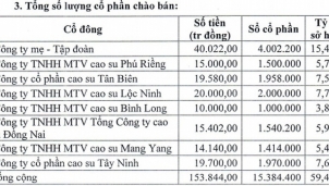 Tập đoàn Cao su Việt Nam muốn thoái sạch vốn tại Vinaruco Tập đoàn Cao su Việt Nam muốn thoái sạch vốn tại Vinaruco