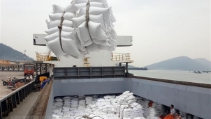 Tập đoàn Lộc Trời (LTG) đầu tư vào mảng logistics Tập đoàn Lộc Trời (LTG) đầu tư vào mảng logistics