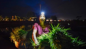 Thanh Hoá: Nắng nóng buộc nông dân xuống đồng trong đêm