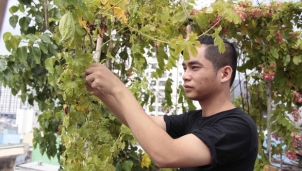 'Thư viện' lưu trữ hạt giống thuần chủng - Món quà quý từ thiên nhiên 'Thư viện' lưu trữ hạt giống thuần chủng - Món quà quý từ thiên nhiên