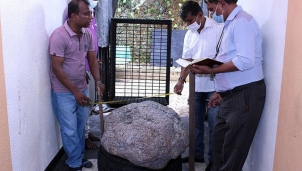 Tình cờ phát hiện đá quý 500 kg trong sân nhà Tình cờ phát hiện đá quý 500 kg trong sân nhà