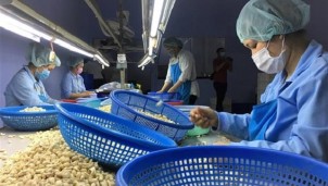 Trách nhiệm của ngân hàng trong vụ nghi lừa đảo 100 container điều Trách nhiệm của ngân hàng trong vụ nghi lừa đảo 100 container điều