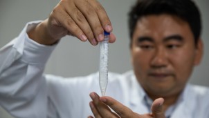 Trung Quốc điều chế tinh bột từ carbon dioxide (CO2) Trung Quốc điều chế tinh bột từ carbon dioxide (CO2)