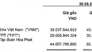 Vĩnh Hoàn lướt sóng cổ phiếu lãi hàng chục tỷ: Chốt lời MWG, gom VNM