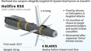Vũ khí bí mật của Mỹ đã ám sát thủ lĩnh al-Qaeda Ayman al-Zawahiri là gì? Vũ khí bí mật của Mỹ đã ám sát thủ lĩnh al-Qaeda Ayman al-Zawahiri là gì?