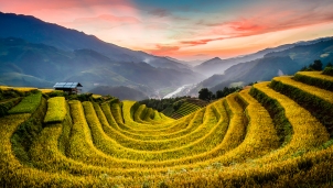 Bay trên mùa vàng trong mùa Thu ở Bắc Bộ Bay trên mùa vàng trong mùa Thu ở Bắc Bộ
