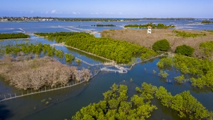 Chiêm ngưỡng vẻ đẹp ngất ngây của Rừng Rú Chá muà thay lá Chiêm ngưỡng vẻ đẹp ngất ngây của Rừng Rú Chá muà thay lá