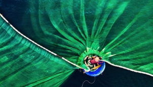 Chiêm ngưỡng tác phẩm đoạt giải nhất của Việt Nam cùng 30 tác phẩm đạt giải cao trong cuộc thi ảnh Nature Conservancy Chiêm ngưỡng tác phẩm đoạt giải nhất của Việt Nam cùng 30 tác phẩm đạt giải cao trong cuộc thi ảnh Nature Conservancy