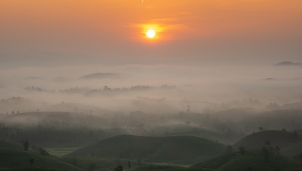 Đồi chè Long Cốc điểm đến thú vị cho giới trẻ yêu nhiếp ảnh