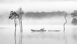 Lãng đãng sương giăng cây cô đơn hồ Tuyền Lâm, Đà Lạt