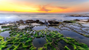 Mùa săn rêu, săn sóng ở biển Mỹ Hiệp - Ninh Thuận Mùa săn rêu, săn sóng ở biển Mỹ Hiệp - Ninh Thuận