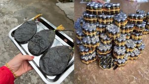 Hà Giang: Rao bán mật gấu, cao hổ trên mạng xã hội, một đối tượng bị xử phạt 70 triệu Hà Giang: Rao bán mật gấu, cao hổ trên mạng xã hội, một đối tượng bị xử phạt 70 triệu