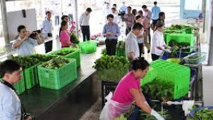 Hà Nội hỗ trợ đưa sản phẩm nông nghiệp lên sàn thương mại điện tử